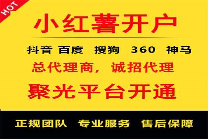 优化搜索流量：SEO技巧的多个成功案例
